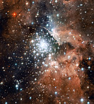 Star Cluster Bursts into Life