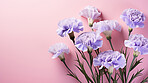 Carnation whispers, pastel harmony and delicate blooms for a serene floral arrangement, beauty and tranquility. Soft-hued carnations in gentle pastels form a graceful and soothing background. Suitable for spa visuals, mindfulness content and calming aesth