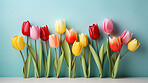 Springtime tulips, blooming and colorful petals for a refreshing floral background, nature and seasonal vibrancy. Tulips in a variety of colors form a lively and cheerful scene, providing an ideal backdrop for spring-related content. Ideal for nature-insp