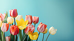 Springtime tulips, blooming and colorful petals for a refreshing floral background, nature and seasonal vibrancy. Tulips in a variety of colors form a lively and cheerful scene, providing an ideal backdrop for spring-related content. Ideal for nature-insp