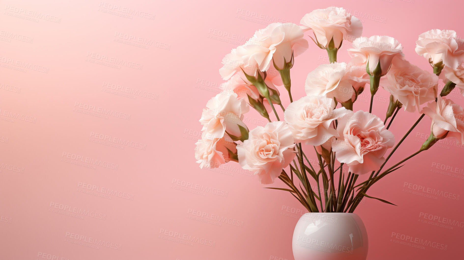 Buy stock photo Carnation whispers, pastel harmony and delicate blooms for a serene floral arrangement, beauty and tranquility. Soft-hued carnations in gentle pastels form a graceful and soothing background. Suitable for spa visuals, mindfulness content and calming aesthetics.