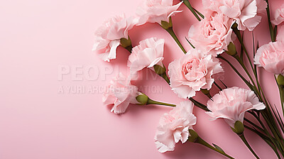 Buy stock photo Carnation whispers, pastel harmony and delicate blooms for a serene floral arrangement, beauty and tranquility. Soft-hued carnations in gentle pastels form a graceful and soothing background. Suitable for spa visuals, mindfulness content and calming aesthetics.