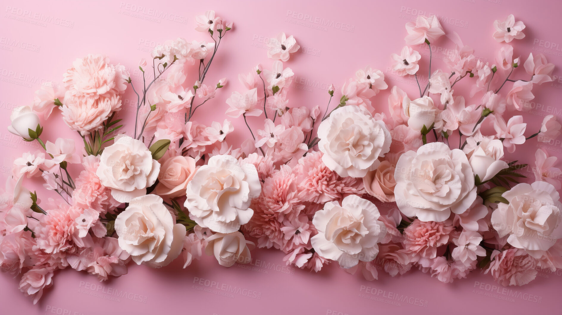 Buy stock photo Carnation whispers, pastel harmony and delicate blooms for a serene floral arrangement, beauty and tranquility. Soft-hued carnations in gentle pastels form a graceful and soothing background. Suitable for spa visuals, mindfulness content and calming aesthetics.