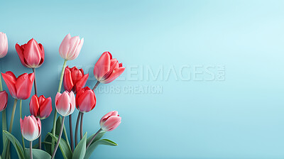 Springtime tulips, blooming and colorful petals for a refreshing floral background, nature and seasonal vibrancy. Tulips in a variety of colors form a lively and cheerful scene, providing an ideal backdrop for spring-related content. Ideal for nature-insp