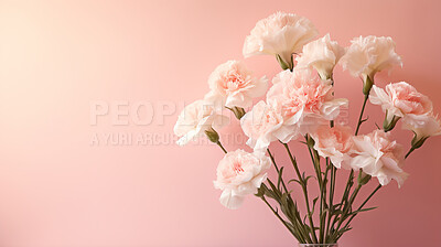 Carnation whispers, pastel harmony and delicate blooms for a serene floral arrangement, beauty and tranquility. Soft-hued carnations in gentle pastels form a graceful and soothing background. Suitable for spa visuals, mindfulness content and calming aesth
