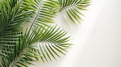 Palm leaves, bathed in sunlight through a window. Tropical, serene and nature-inspired design for interiors, relaxation and creative expressions. On a sunlit canvas with a touch of botanical elegance.