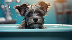 Puppy, bath and bubbly bliss for adorable cleanliness and joyful pampering. Wet fur, playful bubbles and gentle care. This scene is perfect for pet grooming services, care blogs and heartwarming visuals.