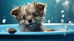 Puppy, bath and bubbly bliss for adorable cleanliness and joyful pampering. Wet fur, playful bubbles and gentle care. This scene is perfect for pet grooming services, care blogs and heartwarming visuals.