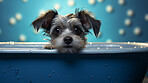 Puppy, bath and bubbly bliss for adorable cleanliness and joyful pampering. Wet fur, playful bubbles and gentle care. This scene is perfect for pet grooming services, care blogs and heartwarming visuals.