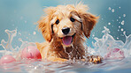 Puppy, bath and bubbly bliss for adorable cleanliness and joyful pampering. Wet fur, playful bubbles and gentle care. This scene is perfect for pet grooming services, care blogs and heartwarming visuals.