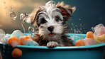 Cute puppy, bath-time excitement, surrounded by bubbles and playful splashes. Sudsy puppy love, grooming joy, and pure bubbly happiness.