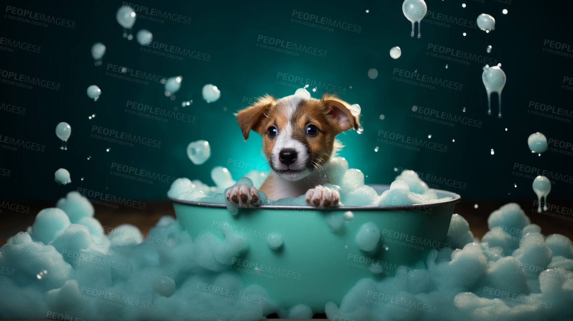 Buy stock photo Cute puppy, bath-time excitement, surrounded by bubbles and playful splashes. Sudsy puppy love, grooming joy, and pure bubbly happiness.