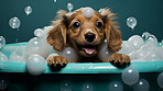 Cute puppy, bath-time excitement, surrounded by bubbles and playful splashes. Sudsy puppy love, grooming joy, and pure bubbly happiness.