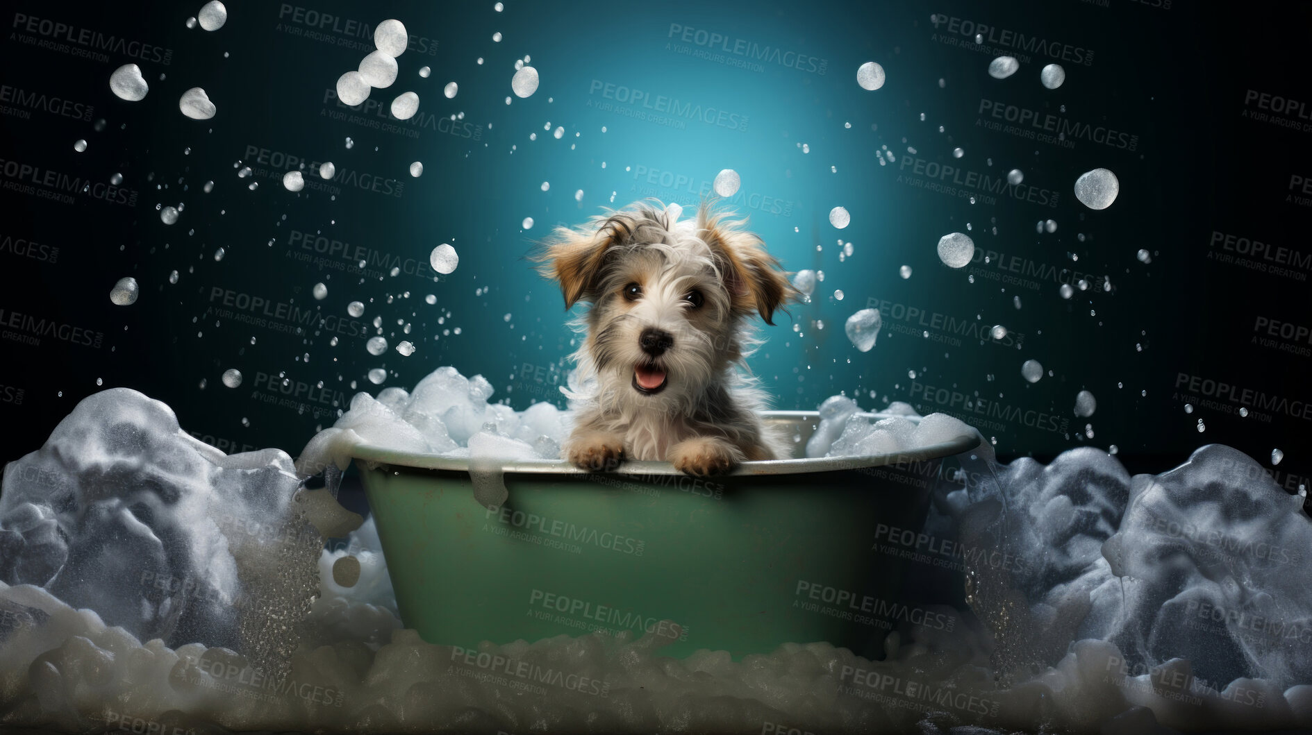 Buy stock photo Cute puppy, bath-time excitement, surrounded by bubbles and playful splashes. Sudsy puppy love, grooming joy, and pure bubbly happiness.