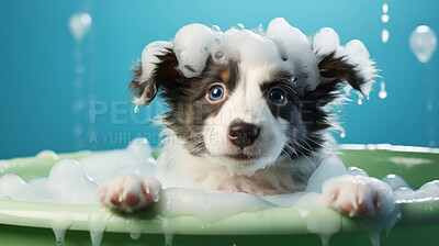 Cute puppy, bath-time excitement, surrounded by bubbles and playful splashes. Sudsy puppy love, grooming joy, and pure bubbly happiness.