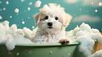 Puppy, bath and bubbly bliss for adorable cleanliness and joyful pampering. Wet fur, playful bubbles and gentle care. This scene is perfect for pet grooming services, care blogs and heartwarming visuals.