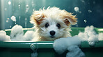 Puppy, bath and bubbly bliss for adorable cleanliness and joyful pampering. Wet fur, playful bubbles and gentle care. This scene is perfect for pet grooming services, care blogs and heartwarming visuals.