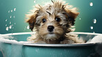 Puppy, bath and bubbly bliss for adorable cleanliness and joyful pampering. Wet fur, playful bubbles and gentle care. This scene is perfect for pet grooming services, care blogs and heartwarming visuals.