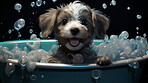 Cute puppy, bath-time excitement, surrounded by bubbles and playful splashes. Sudsy puppy love, grooming joy, and pure bubbly happiness.