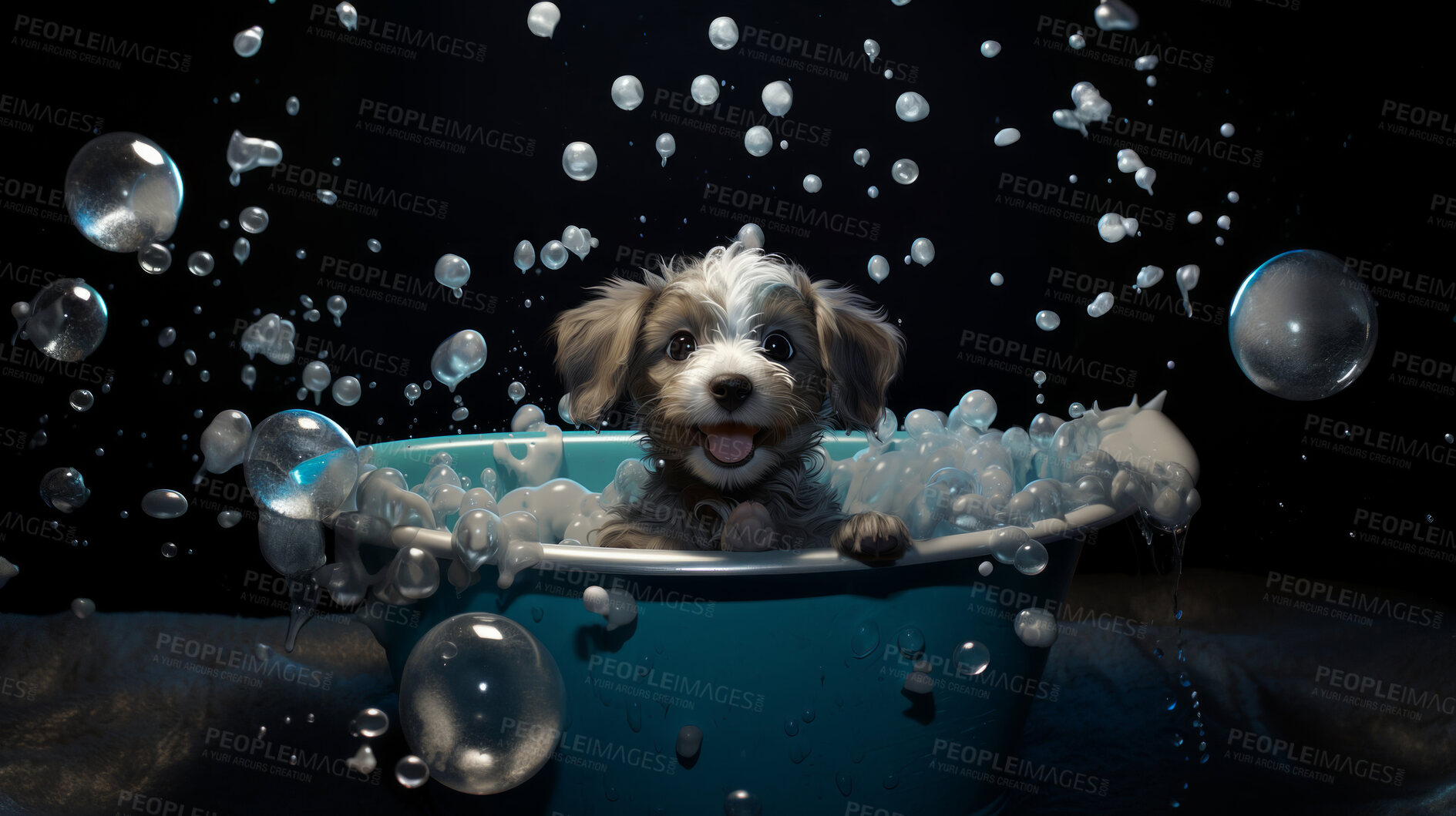 Buy stock photo Cute puppy, bath-time excitement, surrounded by bubbles and playful splashes. Sudsy puppy love, grooming joy, and pure bubbly happiness.