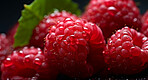 Healthy, natural or fresh raspberry fruit closeup on a black background in studio for farming, produce and lifestyle. Fresh, summer food or health snack mockup for eco farm, diet and agriculture