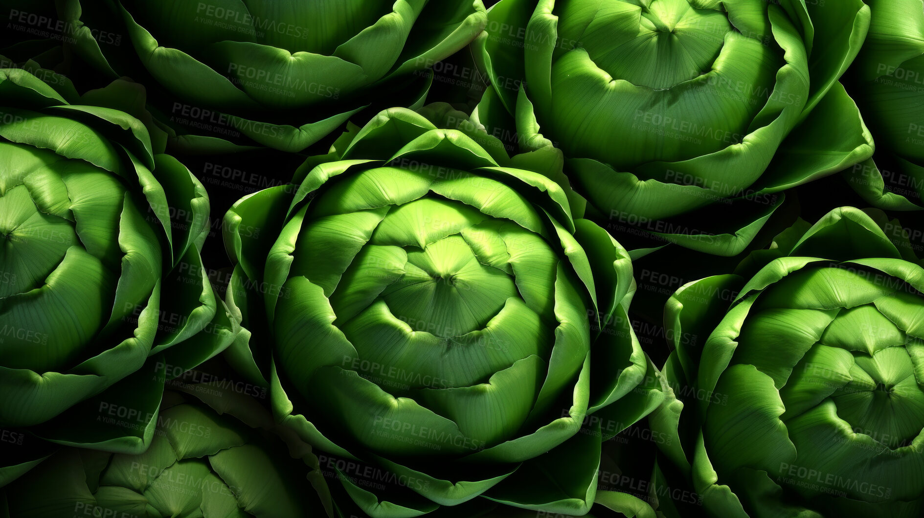 Buy stock photo Healthy, natural and artichoke background in studio for farming, organic produce and lifestyle. Fresh, summer food and health meal closeup for eco farm market, fibre diet and vegetable agriculture