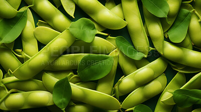 Healthy, natural and broad bean background in studio for farming, organic produce and lifestyle. Fresh, summer food and health meal mockup for eco farm market, fibre diet and vegetable agriculture