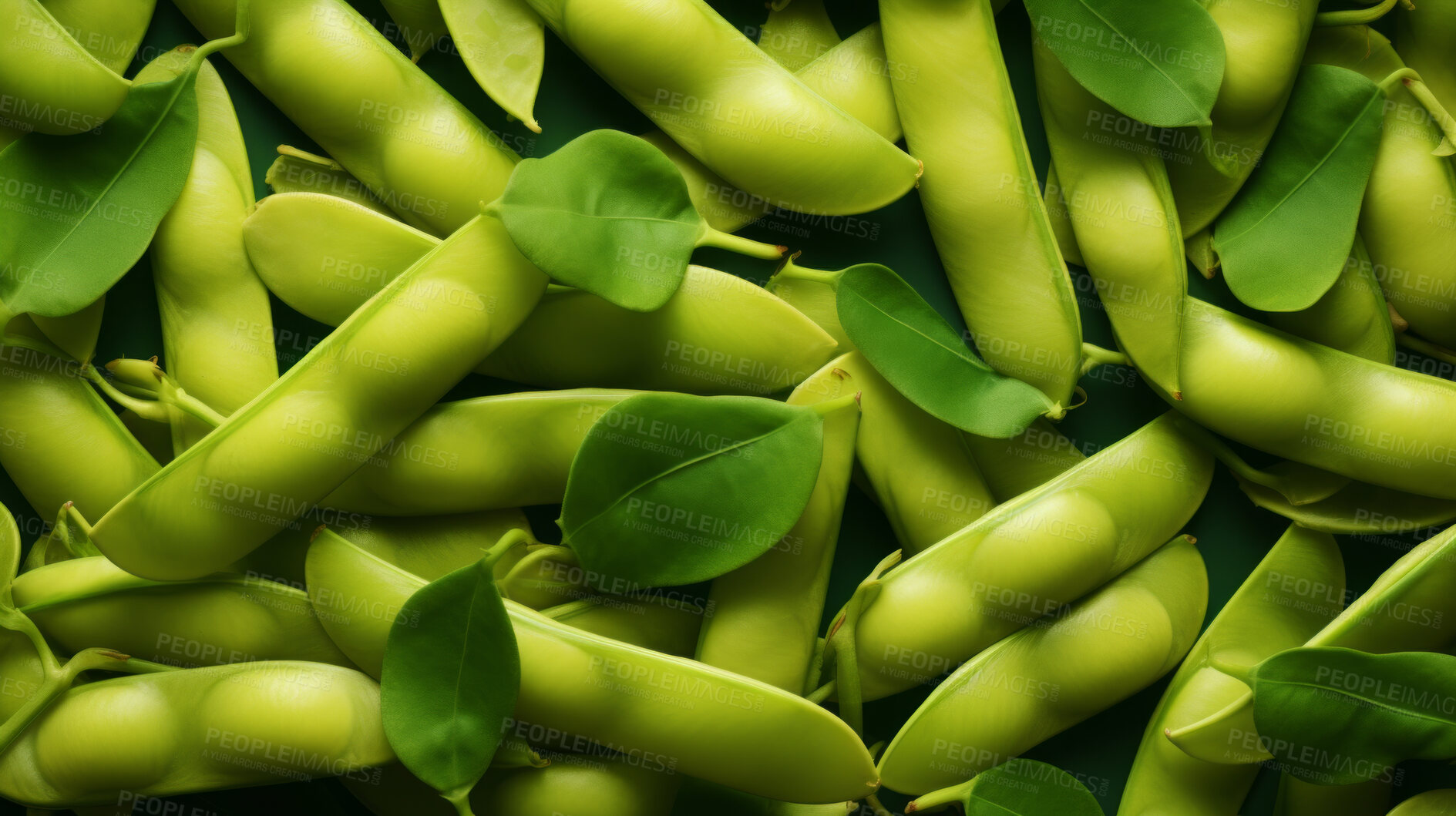 Buy stock photo Healthy, natural and broad bean background in studio for farming, organic produce and lifestyle. Fresh, summer food and health meal mockup for eco farm market, fibre diet and vegetable agriculture