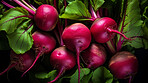 Healthy, natural and beetroot background in studio for farming, organic produce and lifestyle. Fresh, summer food and health meal closeup for eco farm market, fibre diet and vegetable agriculture