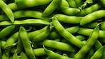 Healthy, natural and broad bean background in studio for farming, organic produce and lifestyle. Fresh, summer food and health meal closeup for eco farm market, fibre diet and vegetable agriculture