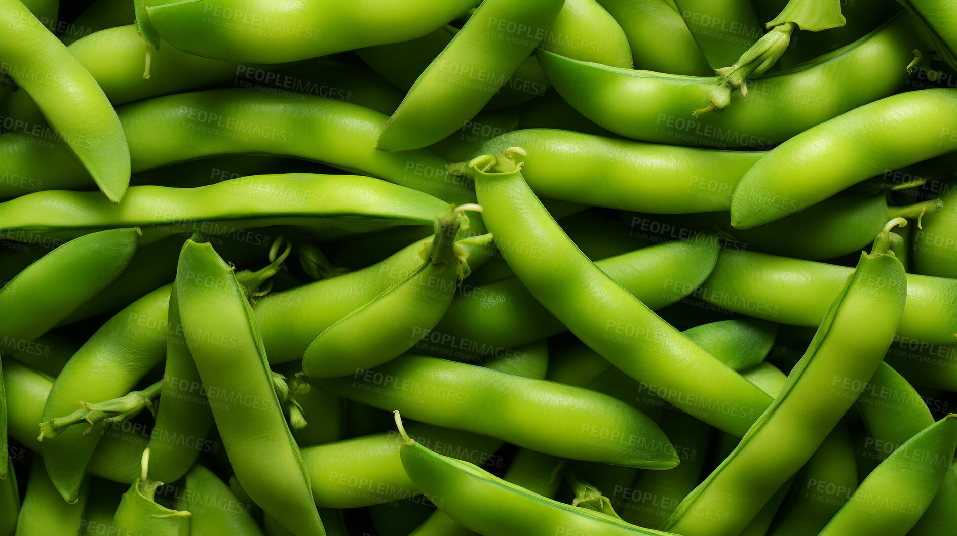 Buy stock photo Healthy, natural and broad bean background in studio for farming, organic produce and lifestyle. Fresh, summer food and health meal closeup for eco farm market, fibre diet and vegetable agriculture