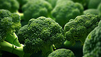 Healthy, natural and broccoli background in studio for farming, organic produce and lifestyle. Fresh, summer food and health meal closeup for eco farm market, fibre diet and vegetable agriculture