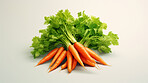 Healthy, natural and orange carrot background in studio for farming, organic produce and lifestyle. Fresh, summer food and health meal closeup for eco farm market, fibre diet and vegetable agriculture