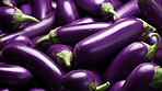 Healthy, natural and eggplant background in studio for farming, organic produce and lifestyle. Fresh, summer food and health meal closeup for eco farm market, fibre diet and vegetable agriculture