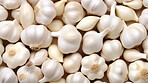 Healthy, natural and garlic root background in studio for farming, organic produce and lifestyle. Fresh, summer food and health meal closeup for eco farm market, fibre diet and vegetable agriculture