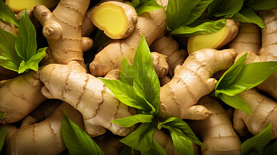 Healthy, natural and ginger root background in studio for farming, organic produce and lifestyle. Fresh, summer food and health meal closeup for eco farm market, fibre diet and vegetable agriculture