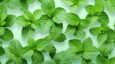 Buy stock photo Healthy, natural and mint plant background in studio for farming, organic produce and lifestyle. Fresh, aromatic flavour and health herb closeup for eco farm market, fibre diet and herb agriculture