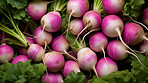 Healthy, natural and turnips background in studio for farming, organic produce and lifestyle. Fresh, summer food and health meal closeup for eco farm market, fibre diet and vegetable agriculture