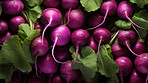 Healthy, natural and turnips background in studio for farming, organic produce and lifestyle. Fresh, summer food and health meal closeup for eco farm market, fibre diet and vegetable agriculture