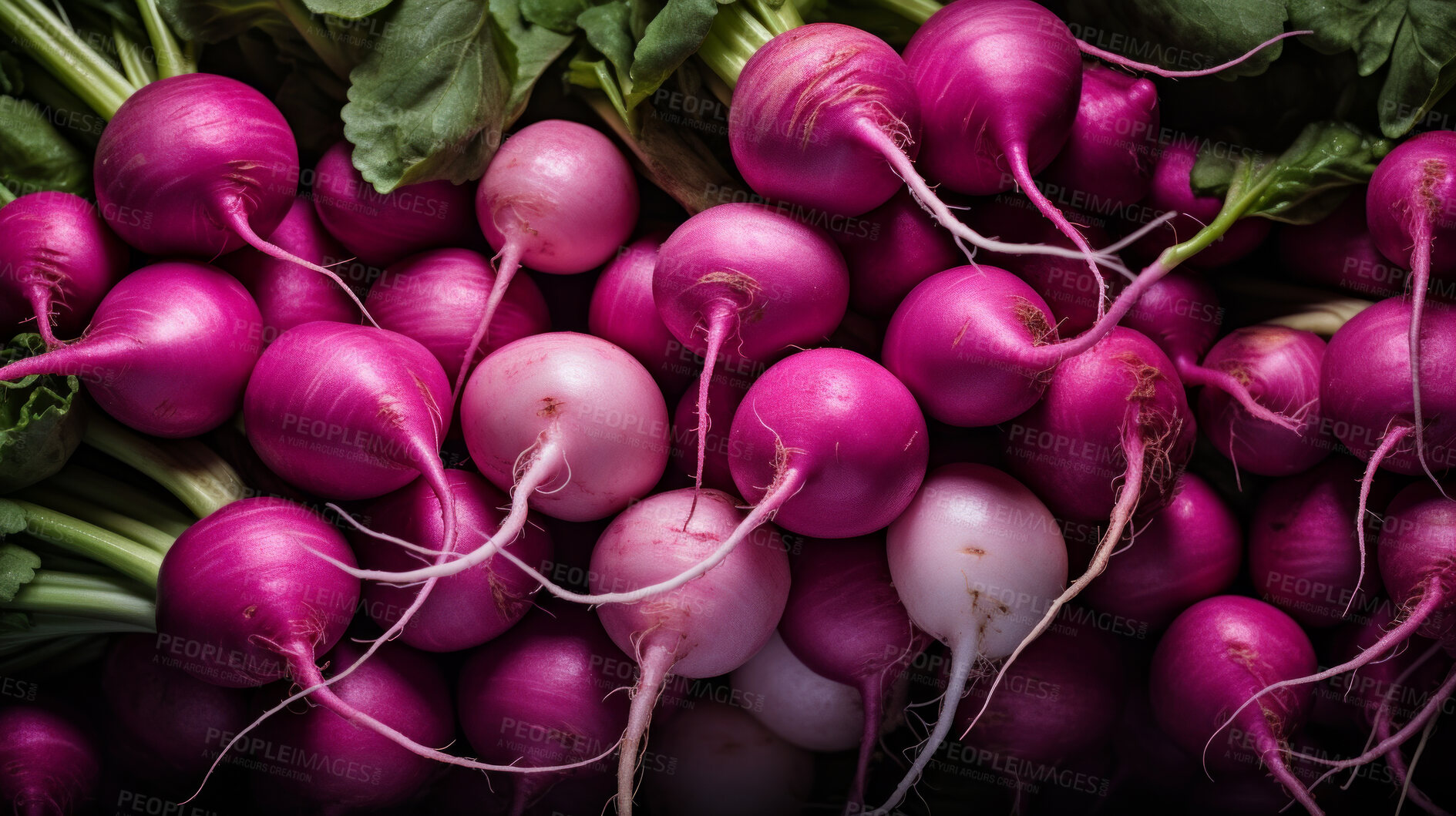 Buy stock photo Healthy, natural and turnips background in studio for farming, organic produce and lifestyle. Fresh, summer food and health meal closeup for eco farm market, fibre diet and vegetable agriculture