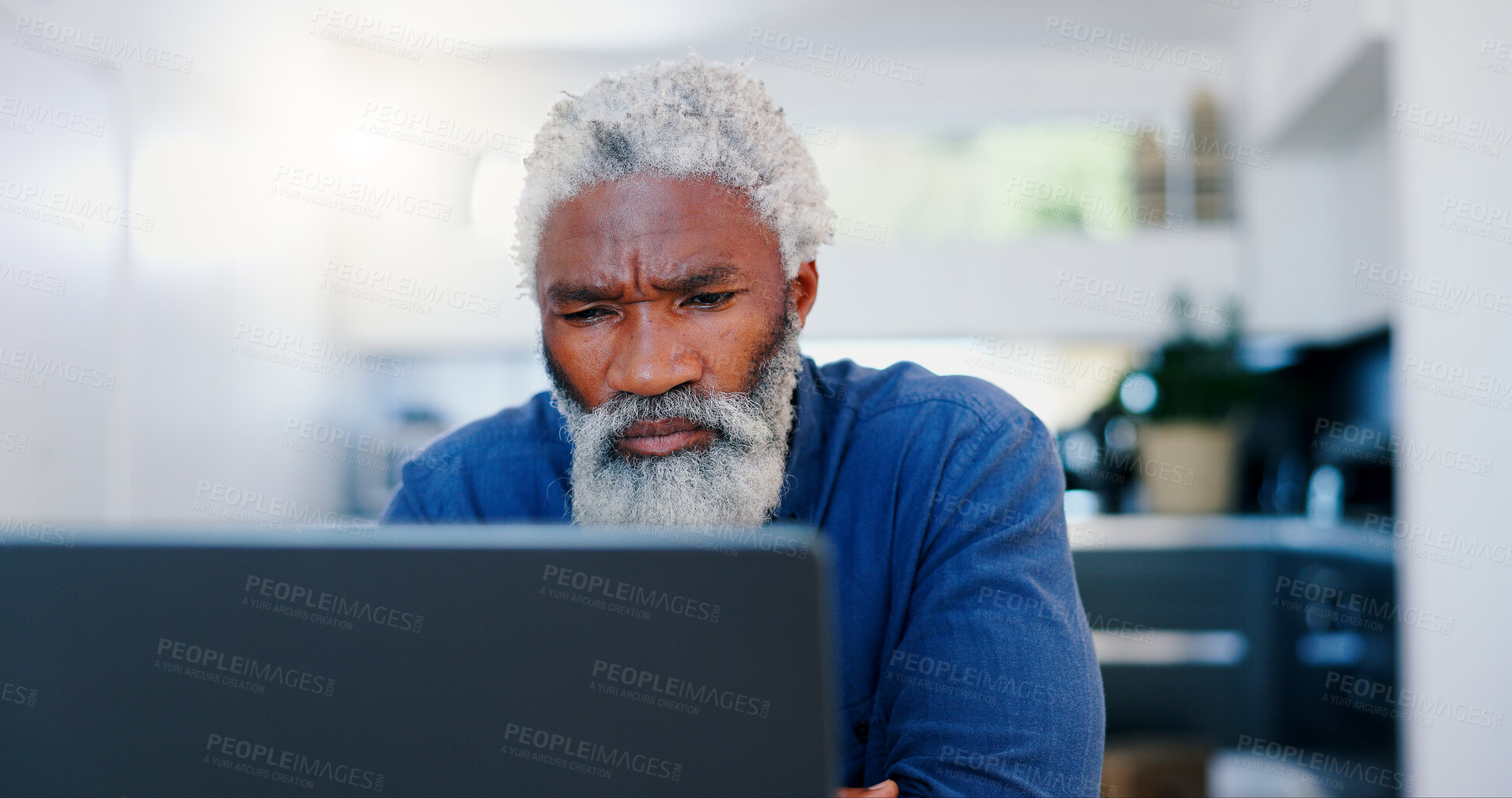 Buy stock photo Senior, businessman and serious with reading on laptop for planning, research and problem solving in office. Elderly, person and entrepreneur with technology in workplace for proposal or work project