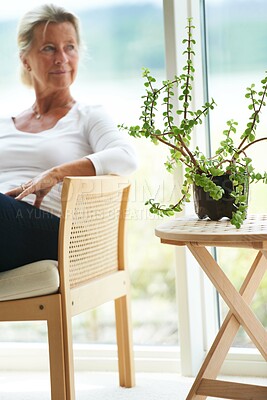 Buy stock photo A senior woman reading a great book in her lounge alongside an old photograph of herself