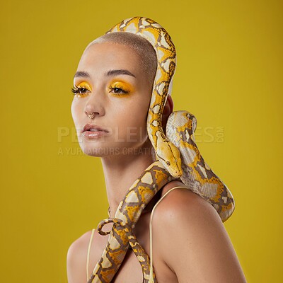 Buy stock photo Shot of a young woman posing with a snake on her head against a yellow background