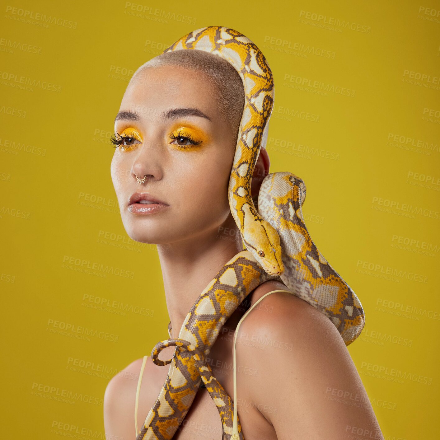 Buy stock photo Shot of a young woman posing with a snake on her head against a yellow background