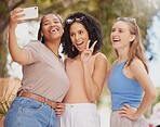 Women friends, park selfie and peace sign with diversity, happy laugh and sunshine with smile on holiday. Black woman, girl or profile picture with solidarity, excited gen z students and social media