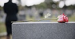 Funeral, cemetery and hands with rose on tombstone for remembrance, ceremony and memorial service. Depression, sadness and person with flower on gravestone for mourning, grief and loss in graveyard