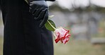 Funeral, cemetery and hands of person with flower for remembrance, ceremony and memorial service. Depression, death and closeup of rose for mourning, grief and loss in graveyard for bereavement