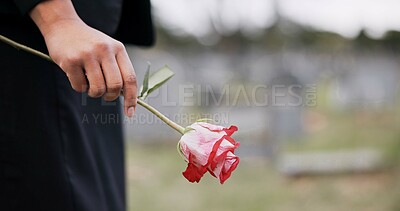 Buy stock photo Funeral, cemetery and hands of person with rose for remembrance, ceremony and memorial service. Depression, death and closeup of flower for mourning, grief and loss in graveyard for bereavement