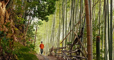 Japanese man, bamboo trees and forest on walk, adventure and hiking with thinking, ideas and journey. Person, outdoor or trekking for peace, mindfulness or woods at Fushimi Inari on vacation in Kyoto