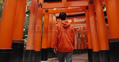 Man, religion and walk by shinto torii gate. back and culture for thinking, ideas and nature in forest. Person, statue and memory on spiritual journey, Fushimi Inari shrine or architecture in Kyoto